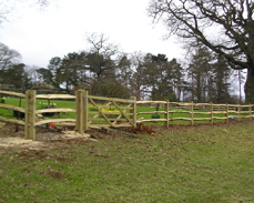 Sussex Post and Rail fencing