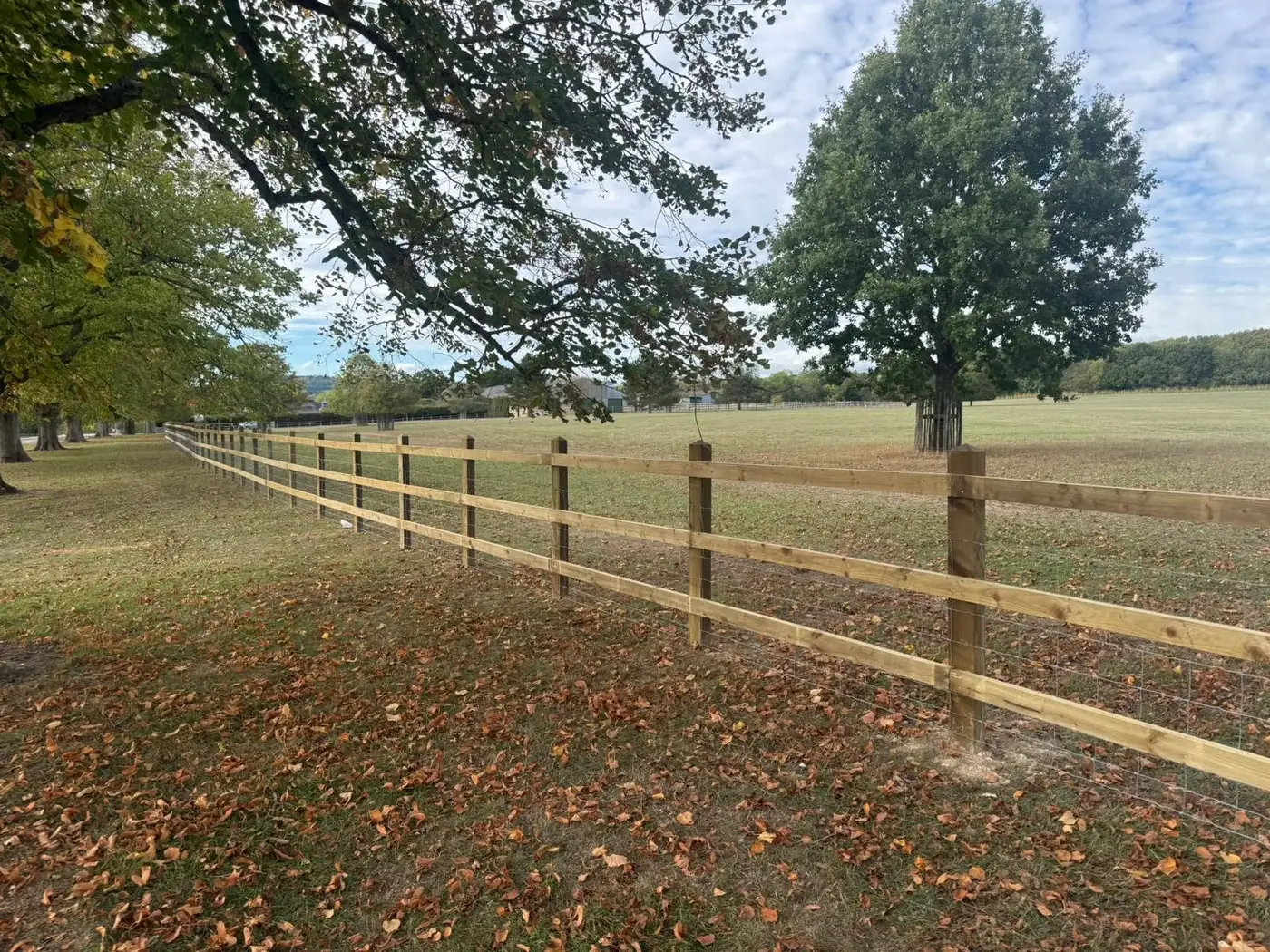 Three-rail post and rail fence with stock netting across parkland, fitted by Tyrrells