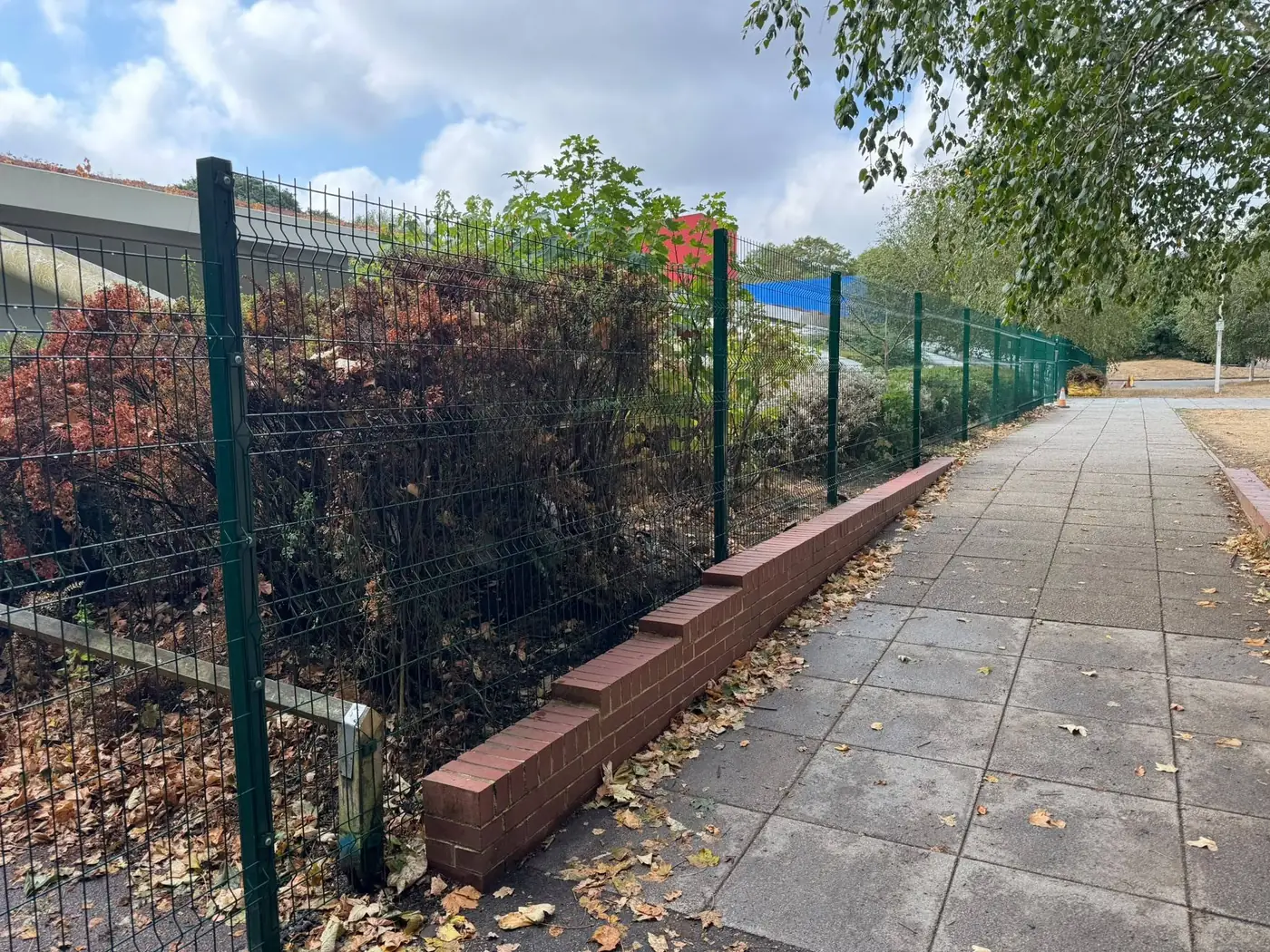 Green welded mesh security fencing along a school path, fitted by Tyrrells